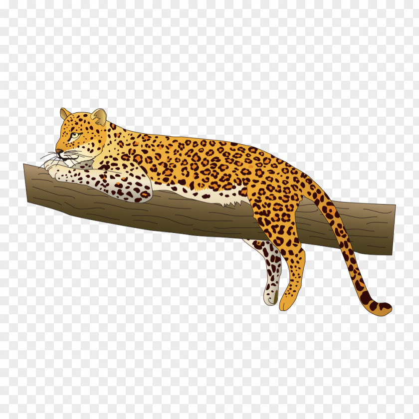 Leopard Cheetah Indian Euclidean Vector PNG