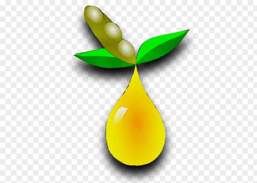Logo Plant Green Leaf Clip Art Symbol PNG