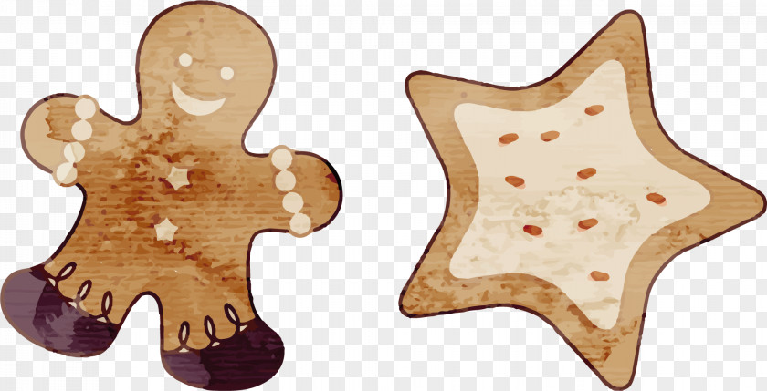 Oven Cookies Chocolate Chip Cookie Fortune Christmas PNG
