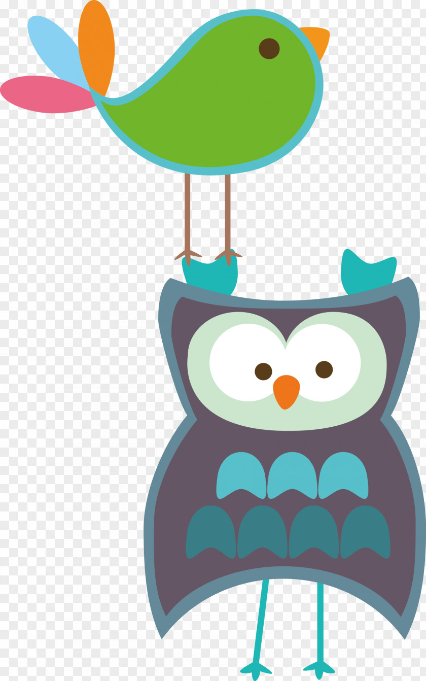 Owl Vector Bird Illustration PNG