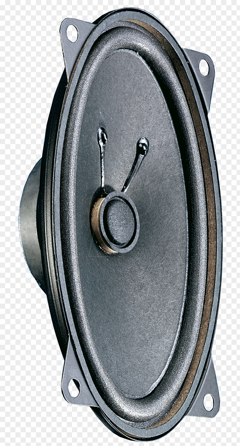 Vis Identification System Computer Speakers Loudspeaker Ohm Subwoofer Full-range Speaker PNG