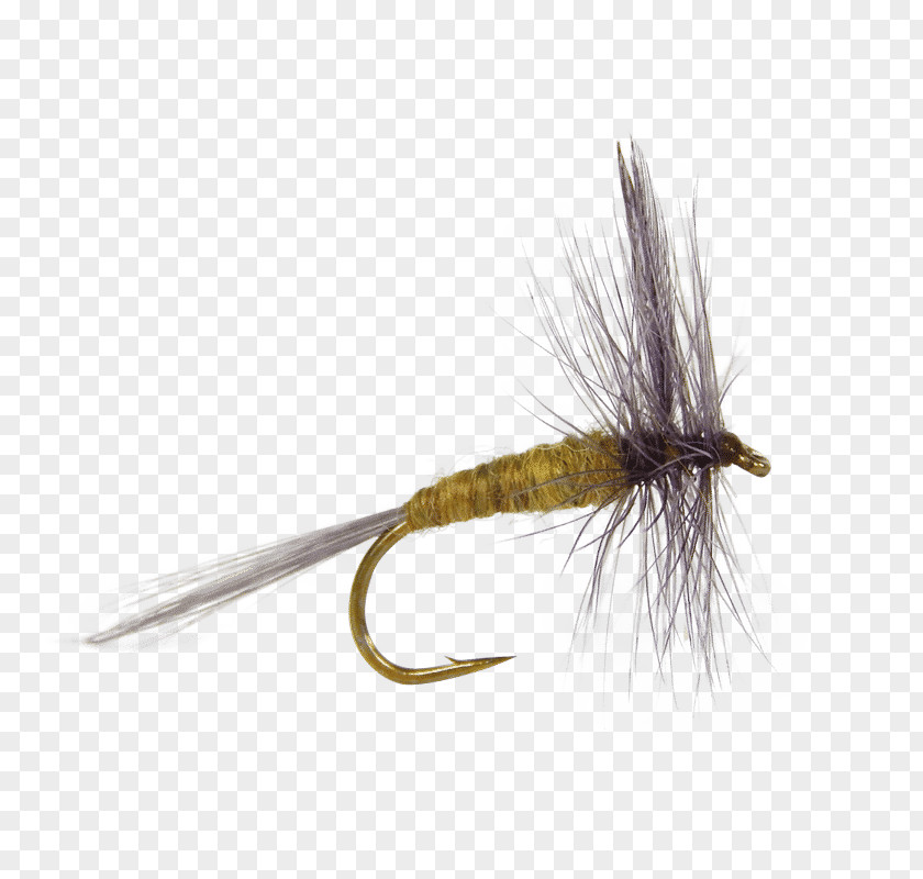 Fishing The Salmon Fly Dry Artificial Tying PNG