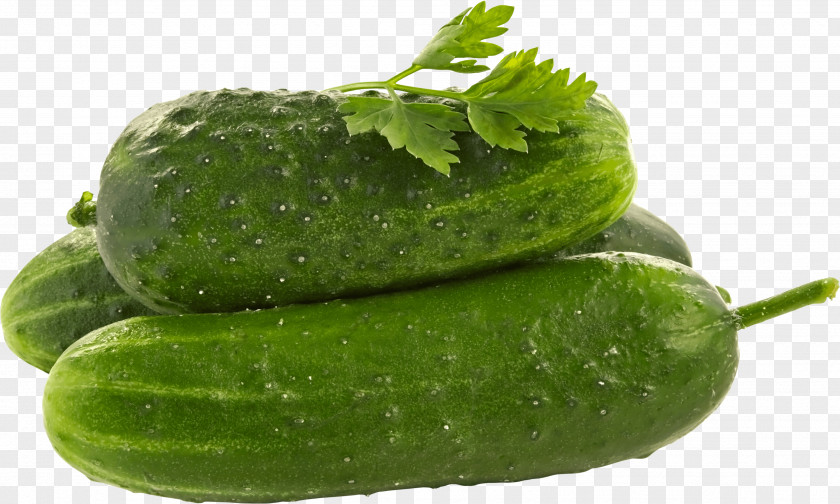 Green Cucumber Image Pickled Spreewald Gherkins Facial PNG