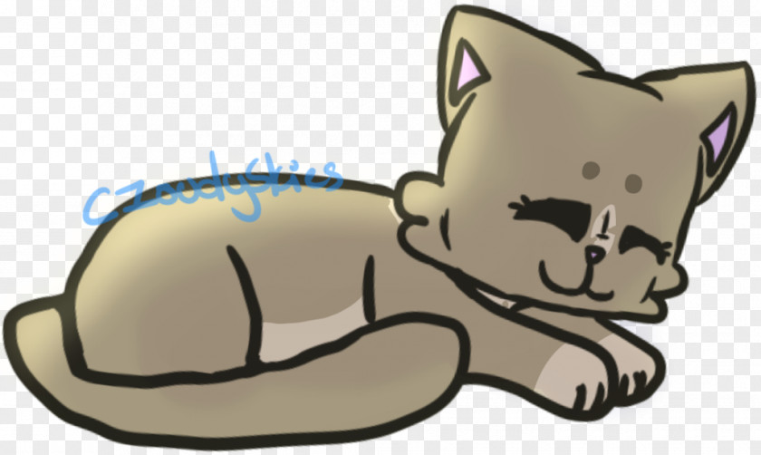 Kitten Whiskers Dog Bear Cat PNG