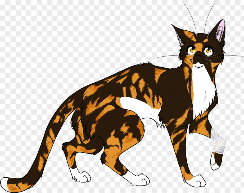 Kitten Whiskers Domestic Short-haired Cat Warriors PNG