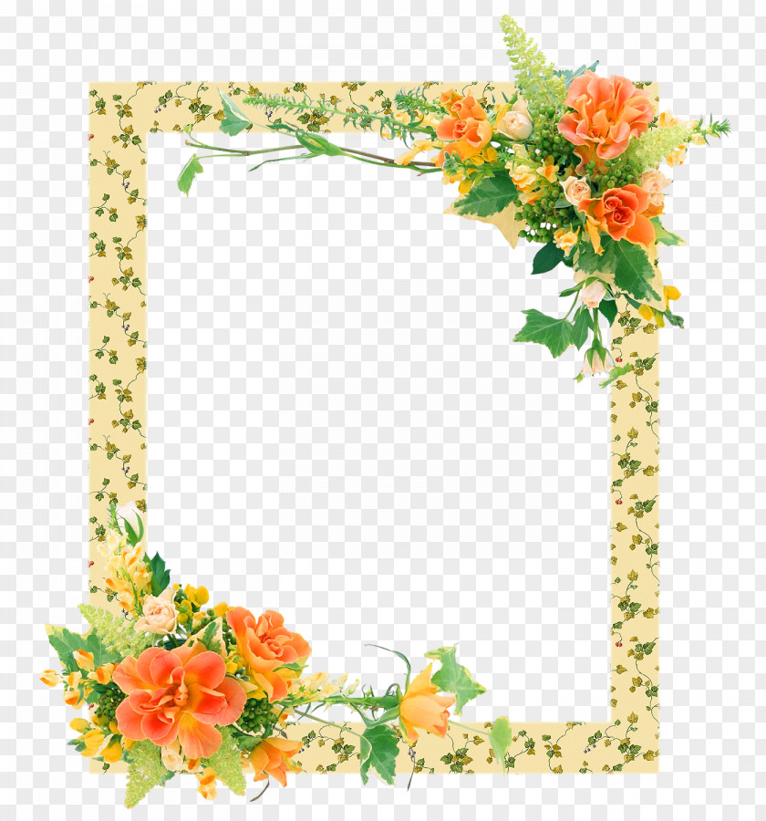 Marcos Picture Frames Photography Flower PNG