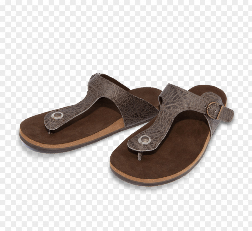 Sandal Flip-flops Italian Mule Podocentrum Alkmaar PNG