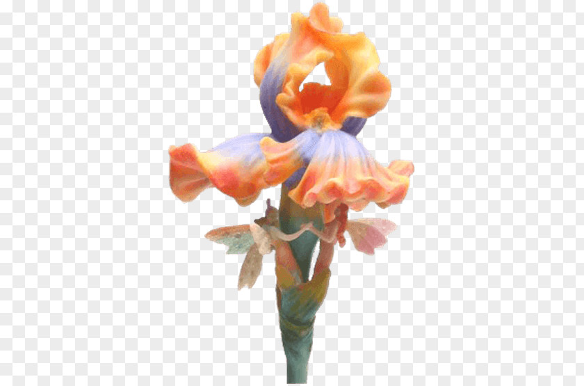 The Fairy Scatters Flowers Flower Fairies Plant Stem PNG