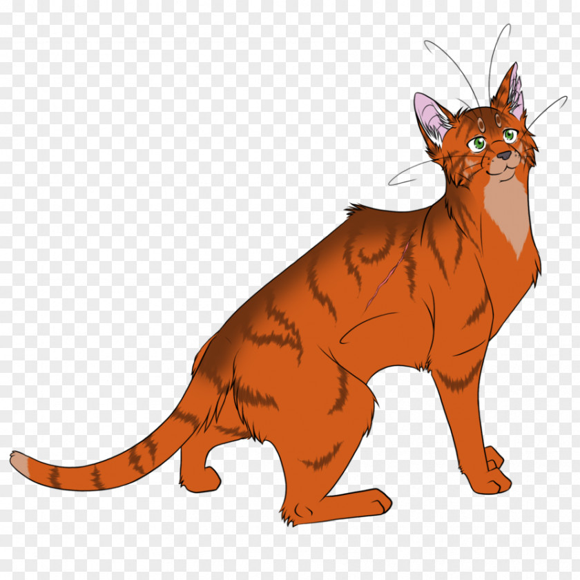 Warriors Cat Code Of The Clans Firestar Graystripe PNG