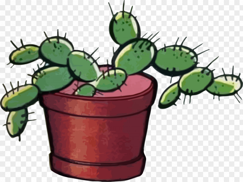 Cactus Cactaceae Flowering Plant Clip Art PNG