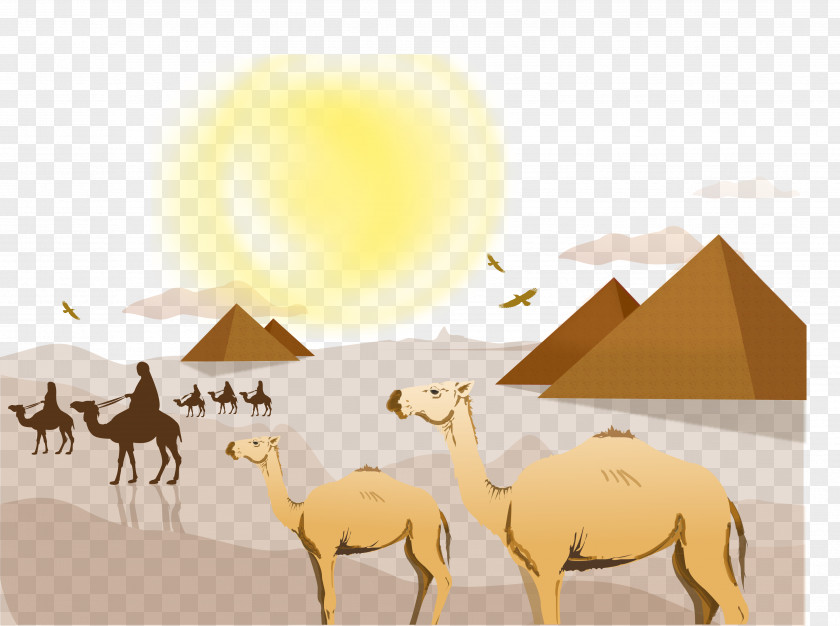 Camel Sahara Desert Landscape Euclidean Vector PNG