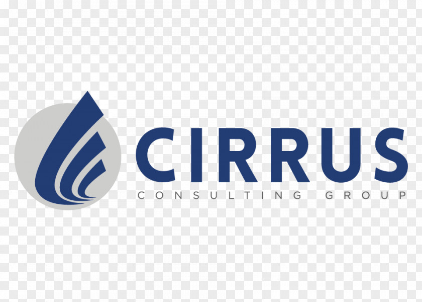 Cirrus Consulting Group Health Care Service Business PNG