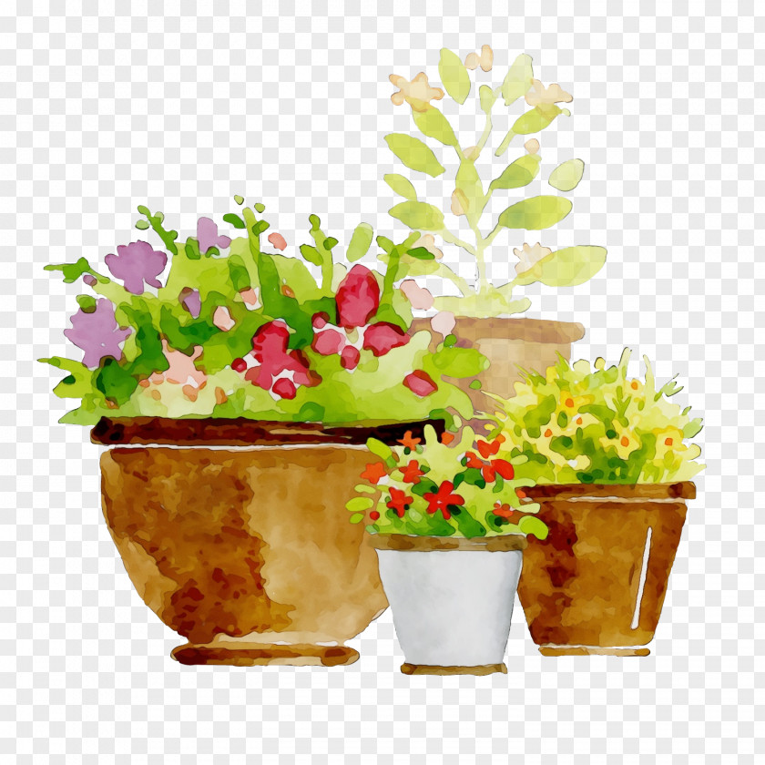 Floristry Wildflower Flowerpot Flower Houseplant Plant Cut Flowers PNG