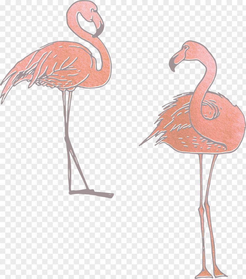 Orange Pink Flamingos Adobe Illustrator PNG