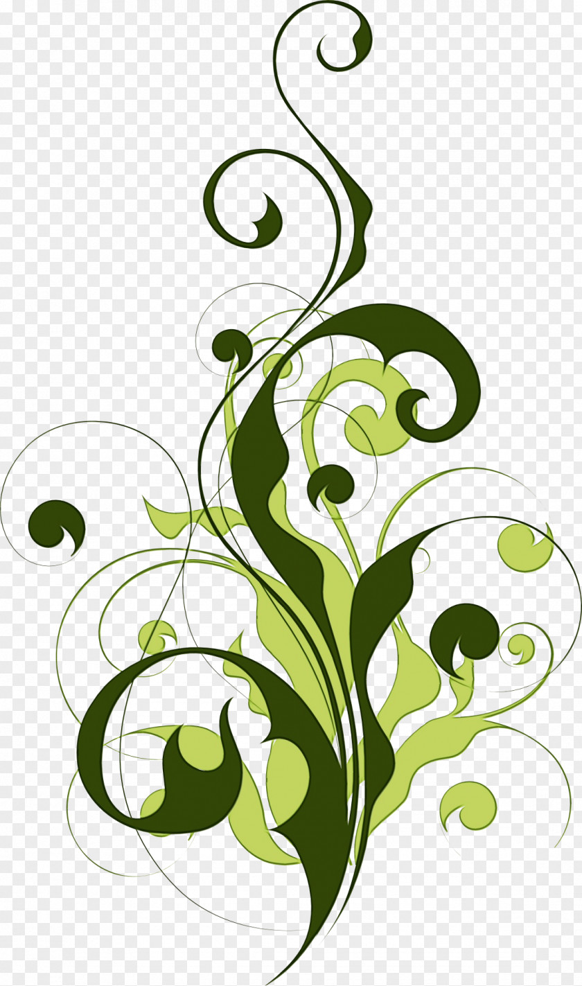 Ornament Lily Of The Valley Leaf Clip Art Plant PNG