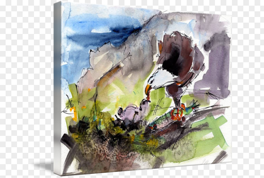 Painting Watercolor Beak PNG