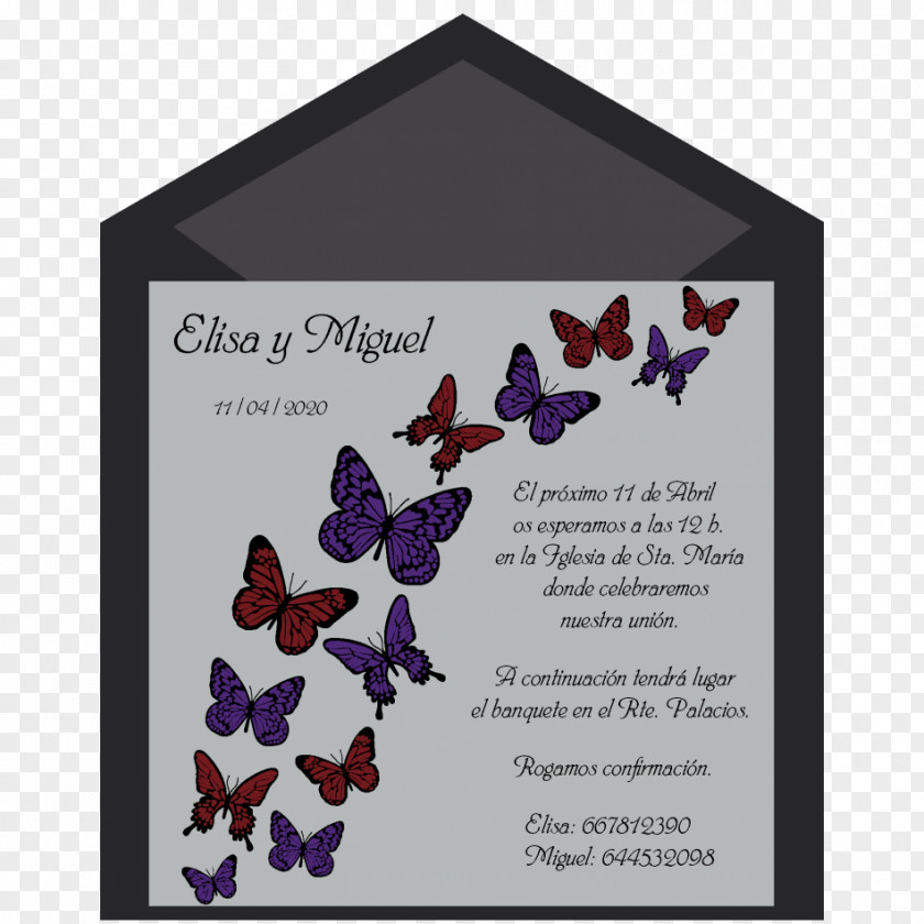 Wedding Invitation Convite Butterflies And Moths Color PNG