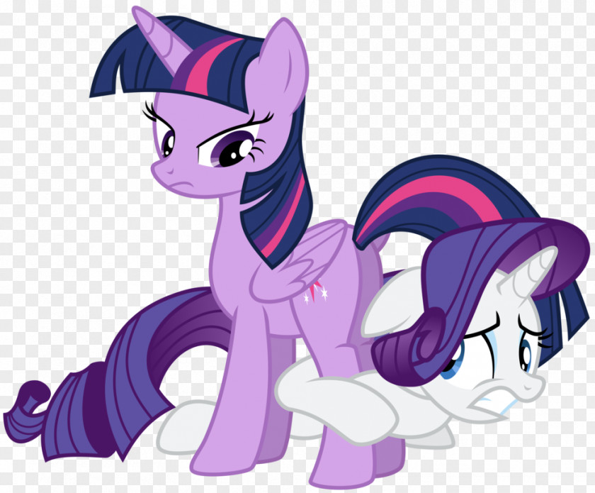 Wtf. Vector Rarity Pony Twilight Sparkle Rainbow Dash Pinkie Pie PNG