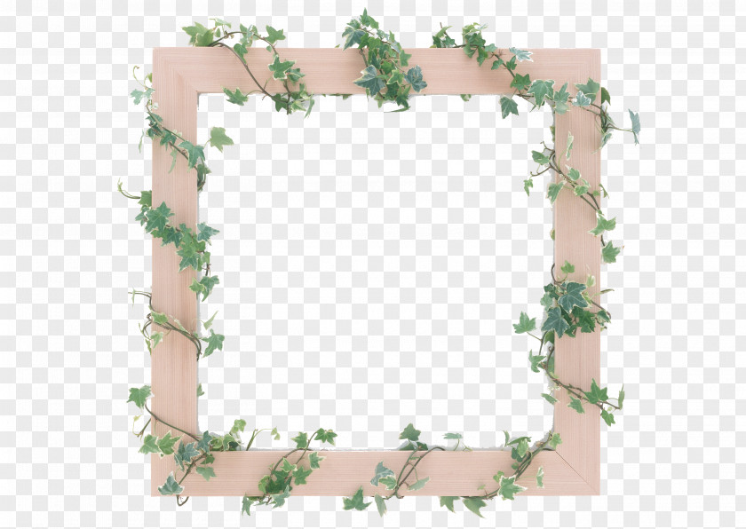 Green Vine Dress Download Euclidean Vector PNG