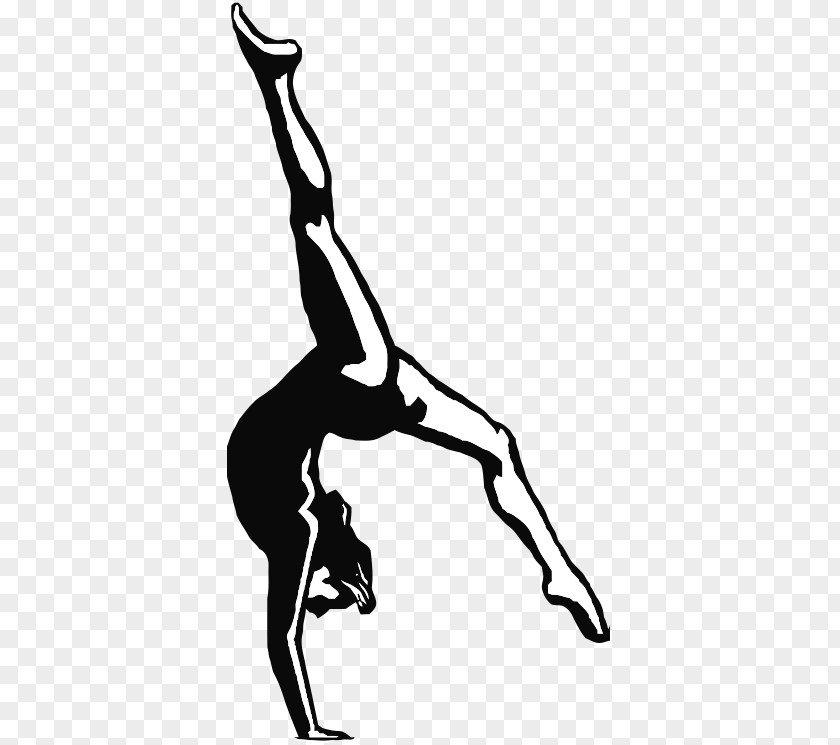 Gymnastics Energym Miss Maria's Dance Cheer Sports Association PNG