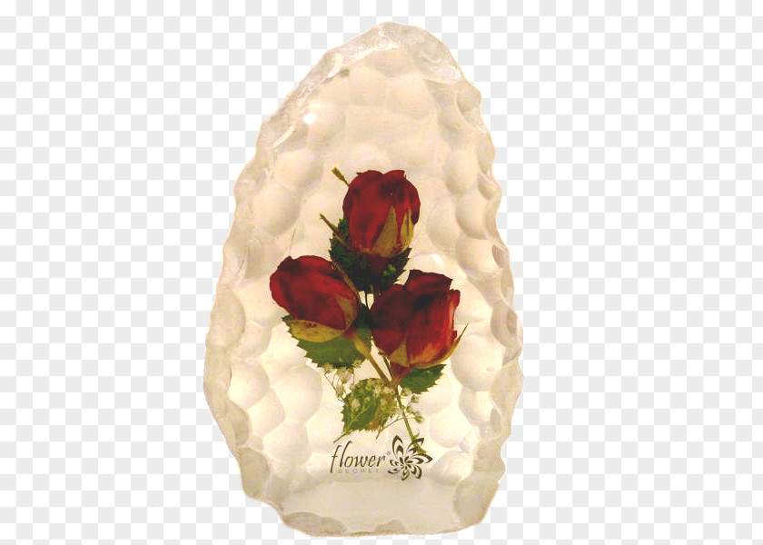 Vase Cut Flowers Petal PNG