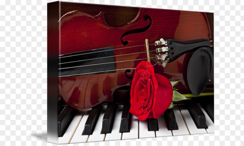 Violin Violone Cello Viola Piano PNG