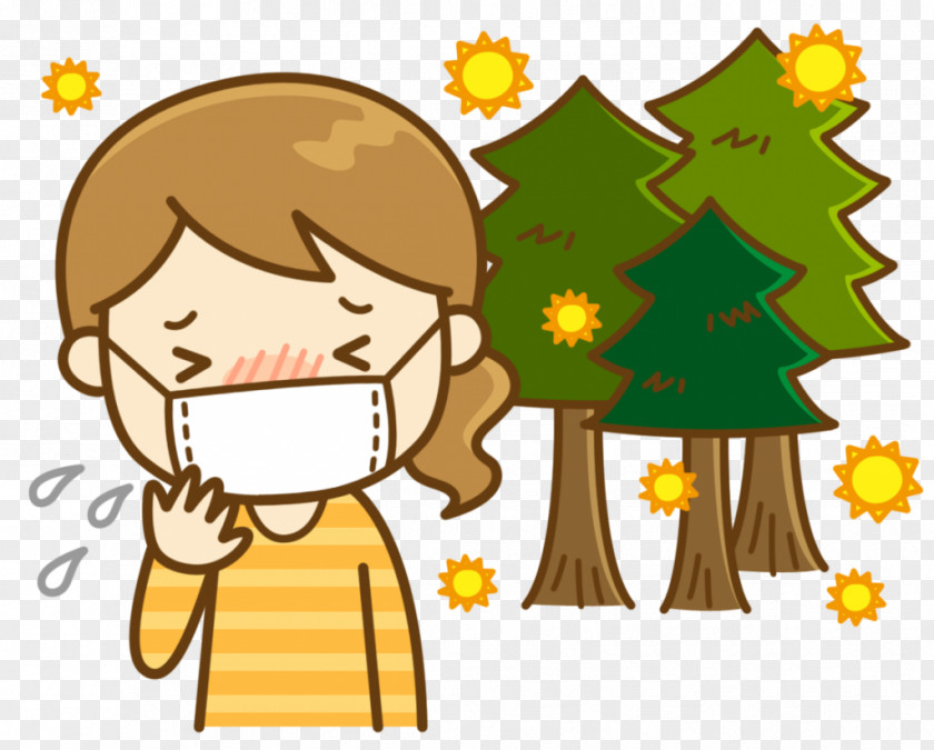 Allergy Allergic Rhinitis Due To Pollen Demam Serbuk Bunga Di Jepang Respirator PNG