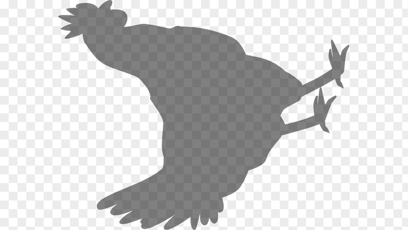 Chicken Finger Mammal Black Clip Art PNG