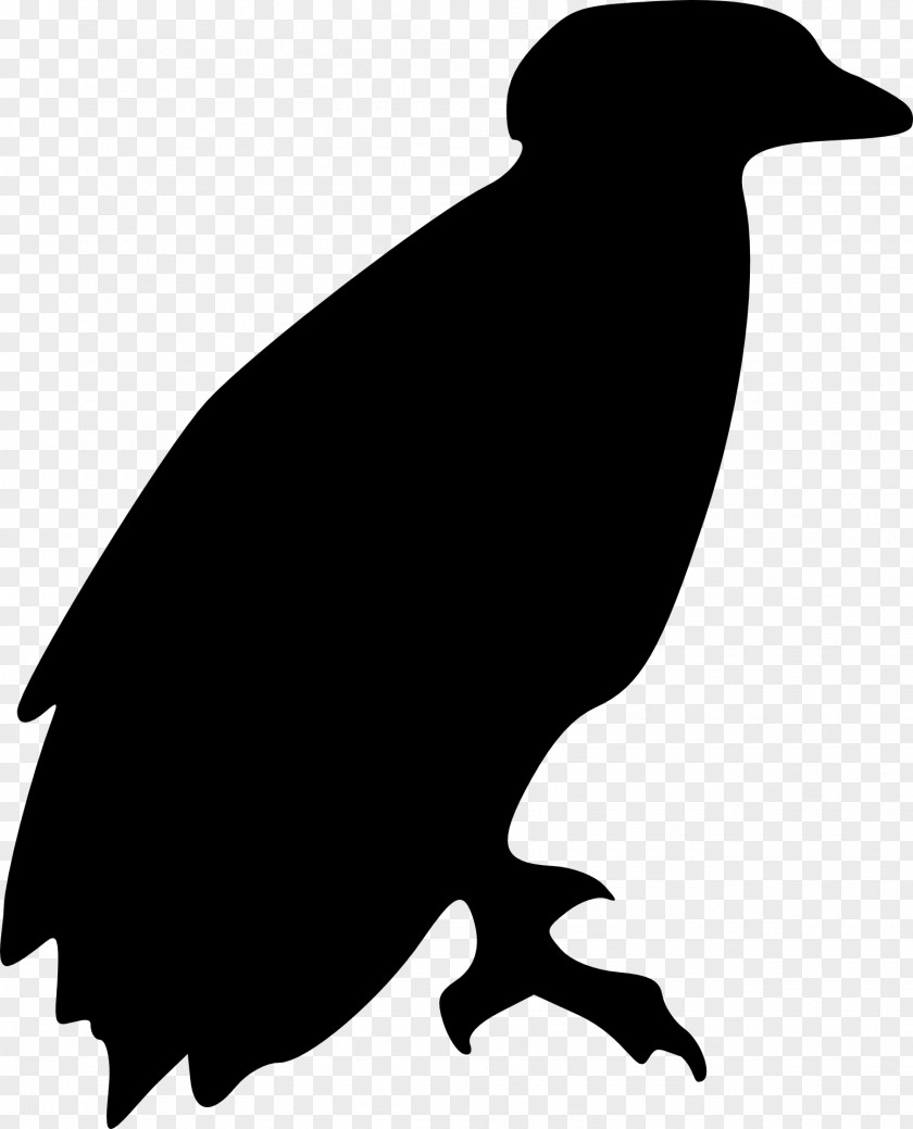 Eagle Bird Silhouette Clip Art PNG