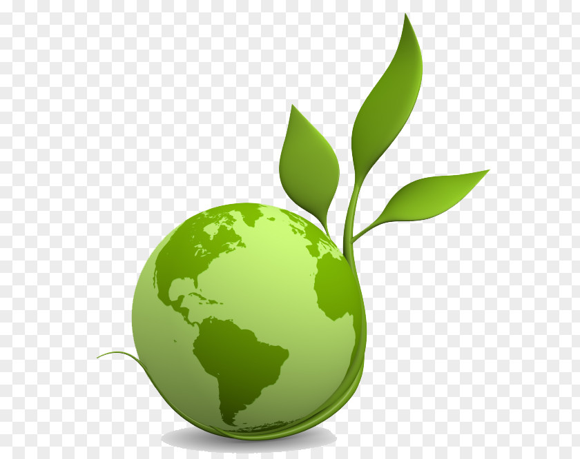 Natural Environment Green Recycling Clip Art PNG