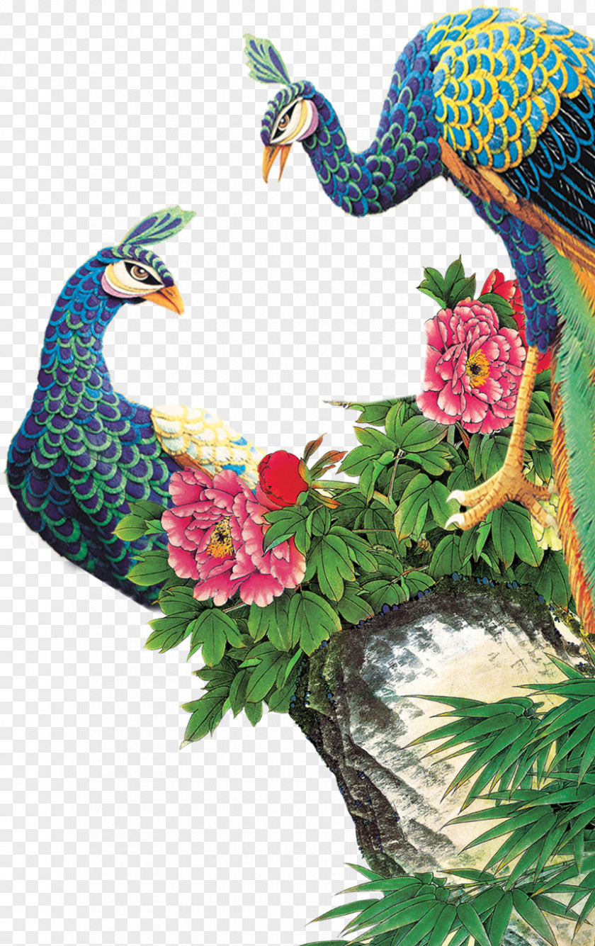 Peacock Peafowl Painting PNG