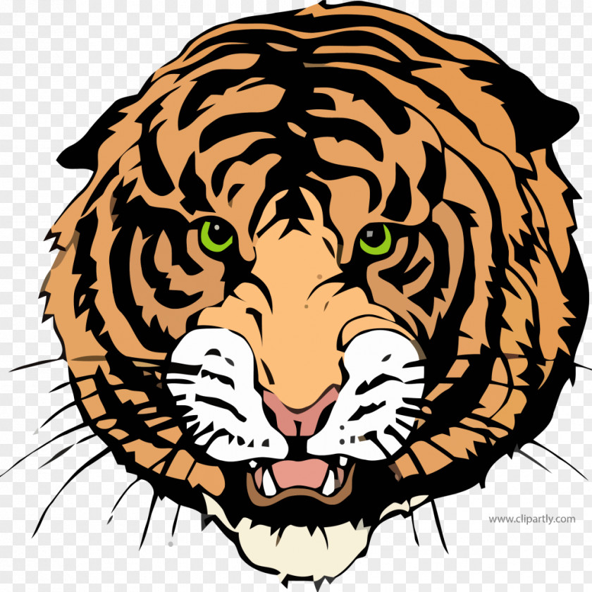 Draw A Tiger New England High School National Secondary Williston Education PNG