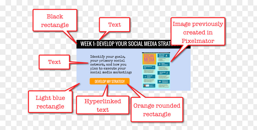 Infographic CV Google Docs Drawings Drive PNG