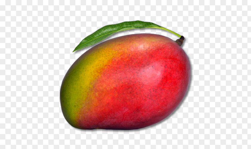 Juice Mango PNG