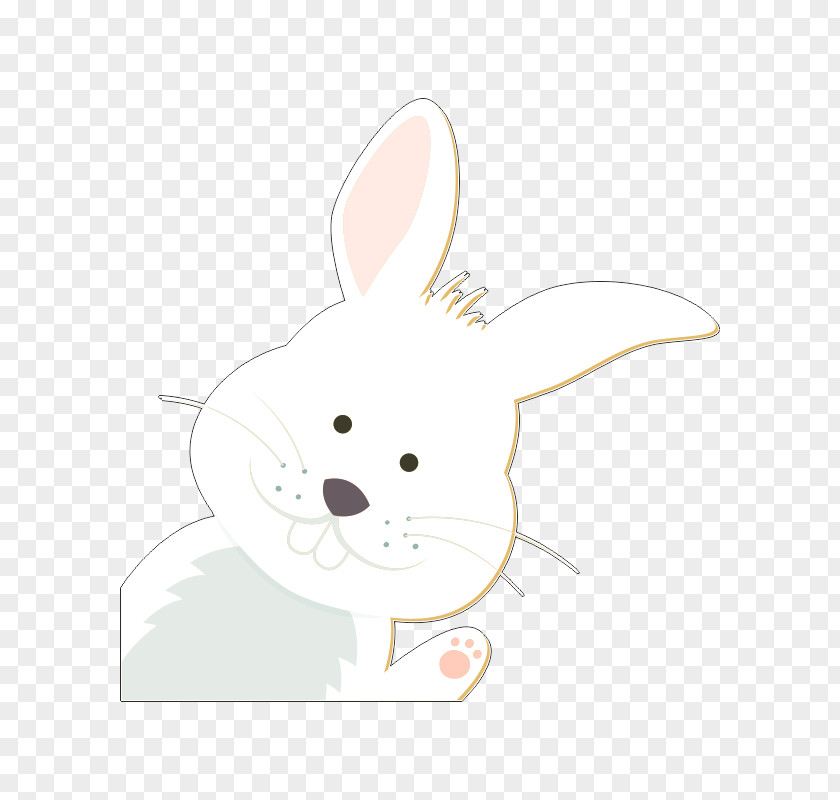 Rat Domestic Rabbit Easter Bunny Hare Whiskers PNG