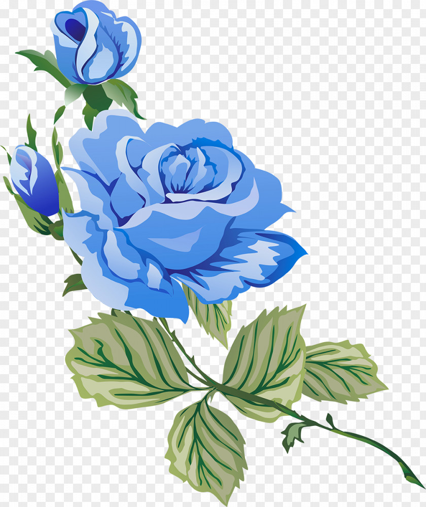 Rose Leslie Garden Roses Clip Art PNG