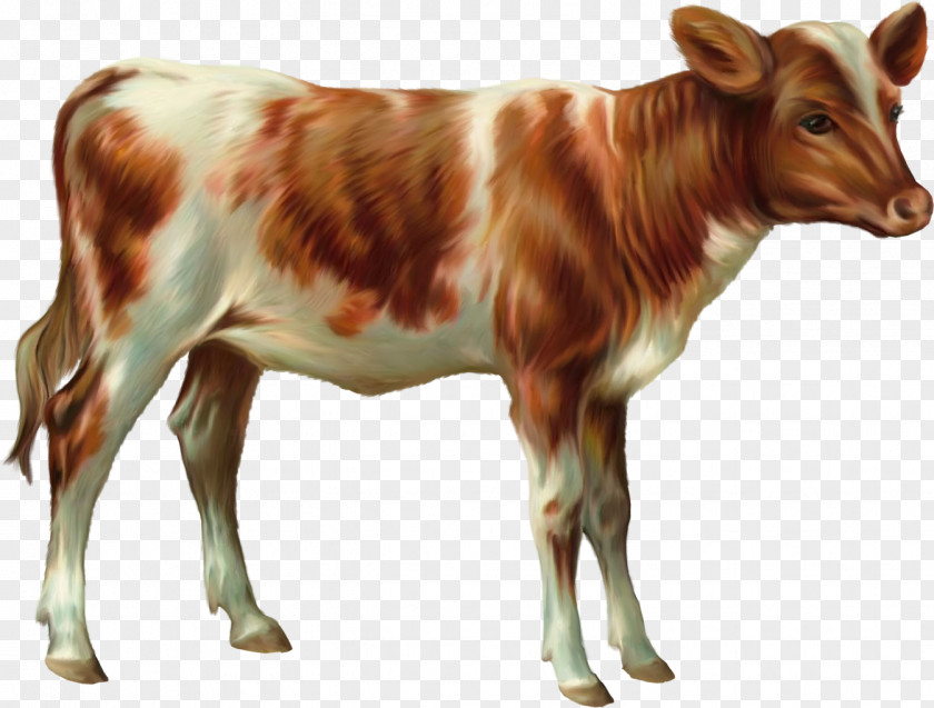 Sheep Cattle Calf Goat Ox PNG