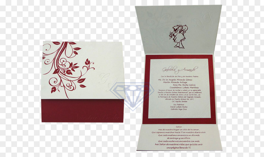 Wedding Invitation Convite Text Redaction PNG