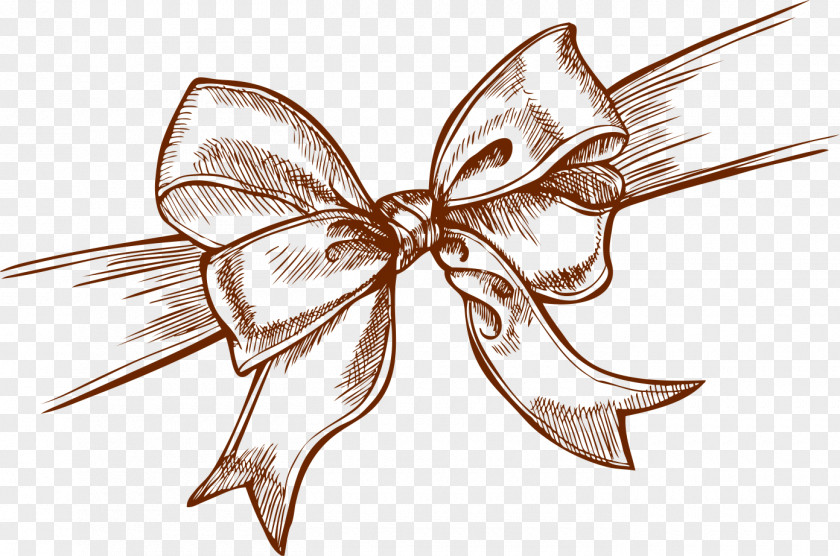Bowknot Streamer Shoelace Knot Image Gift Ribbon PNG