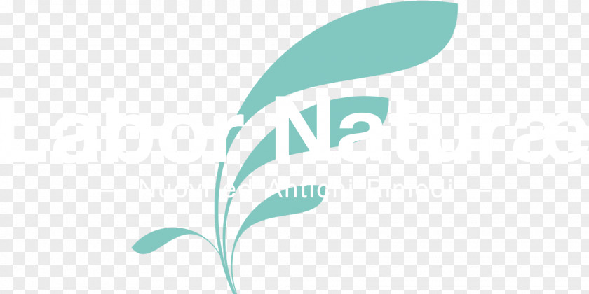 Feather Logo Desktop Wallpaper Font PNG
