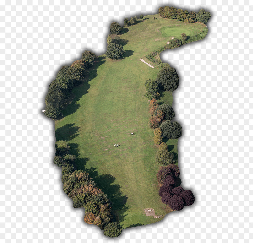 Golf Course Clubs Tees Southsea Club (Portsmouth, Great Salterns) PNG