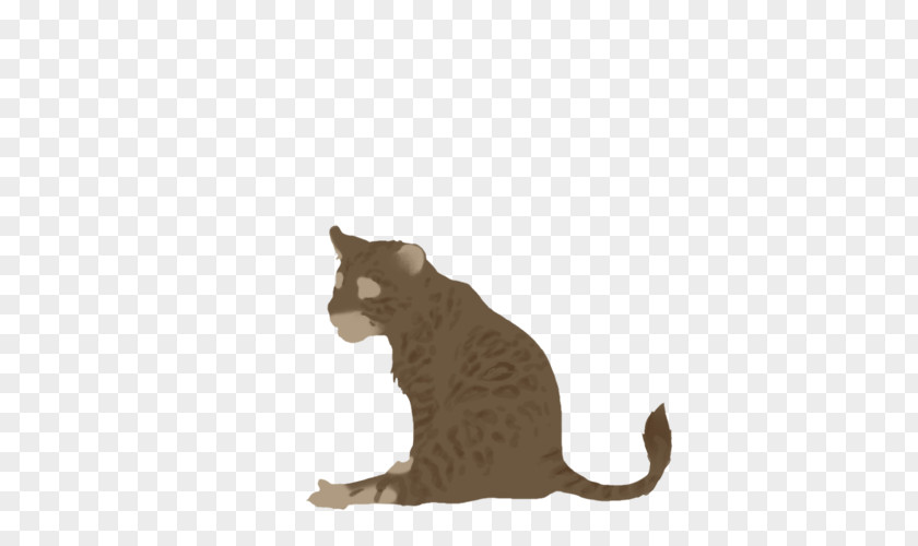 Kitten Whiskers Domestic Short-haired Cat Fauna PNG