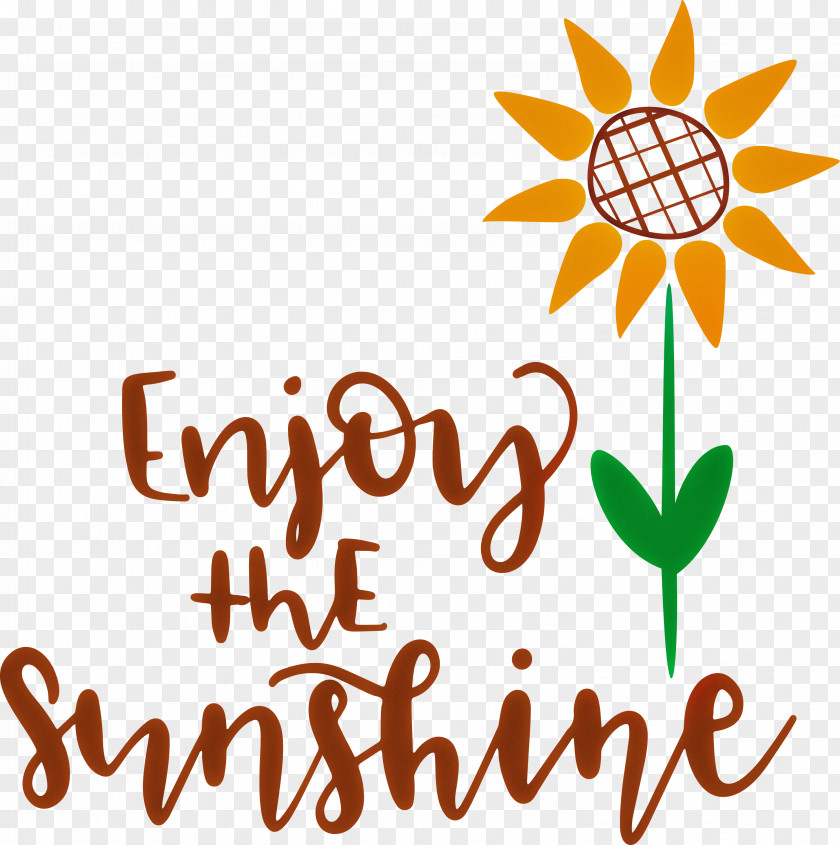 Sunshine Enjoy The PNG