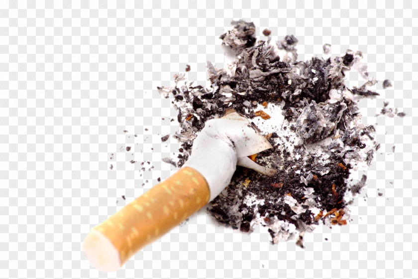 Bending Cigarettes Cigarette Stock Photography Royalty-free PNG