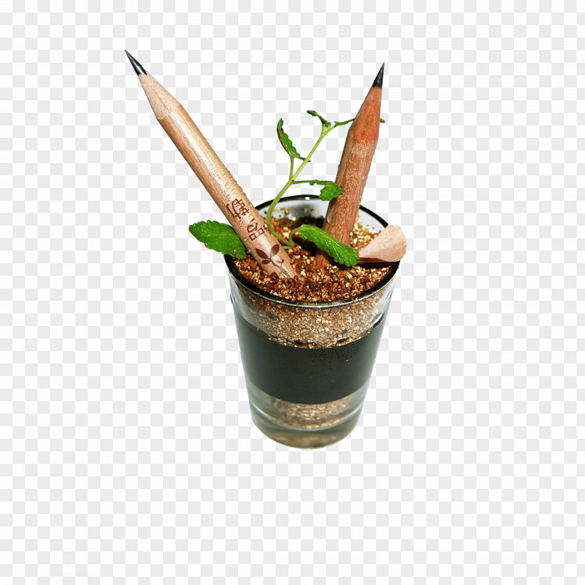 Creative Pencil Pot Drawing Seed Sprouting Stationery PNG