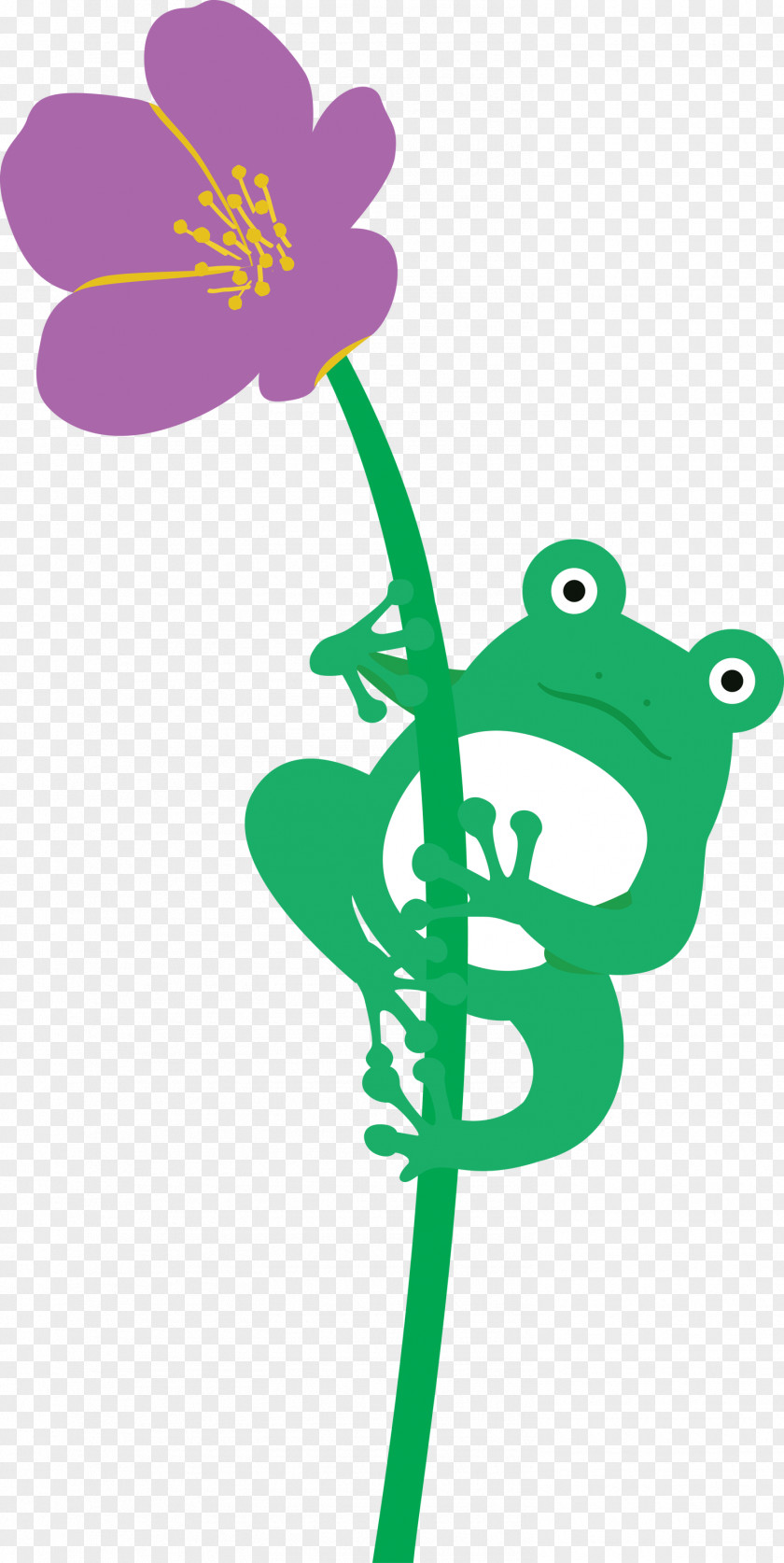 Flower Plant Stem Frogs Leaf Cartoon PNG