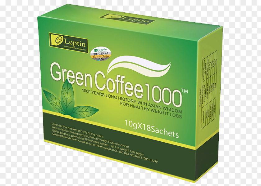 Green Tea Weight Loss Coffee Extract Bean Health Dieting PNG