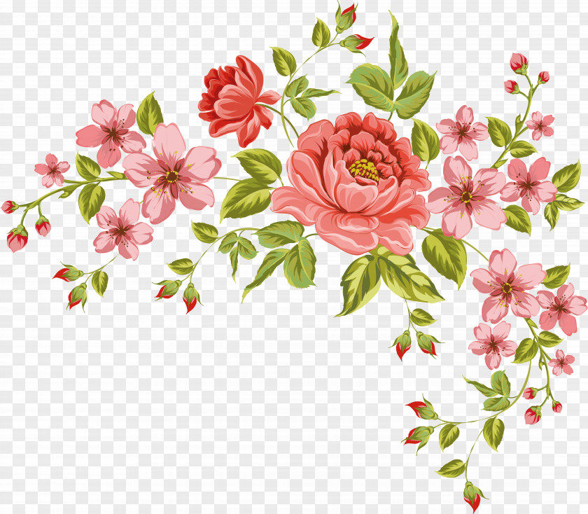 Peonies Flower Picture Frames Clip Art PNG