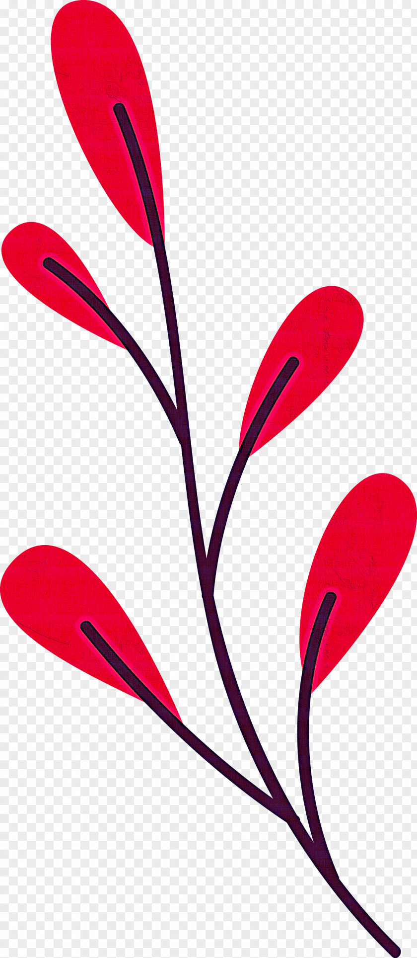 Plant Stem Petal Leaf Line Flower PNG