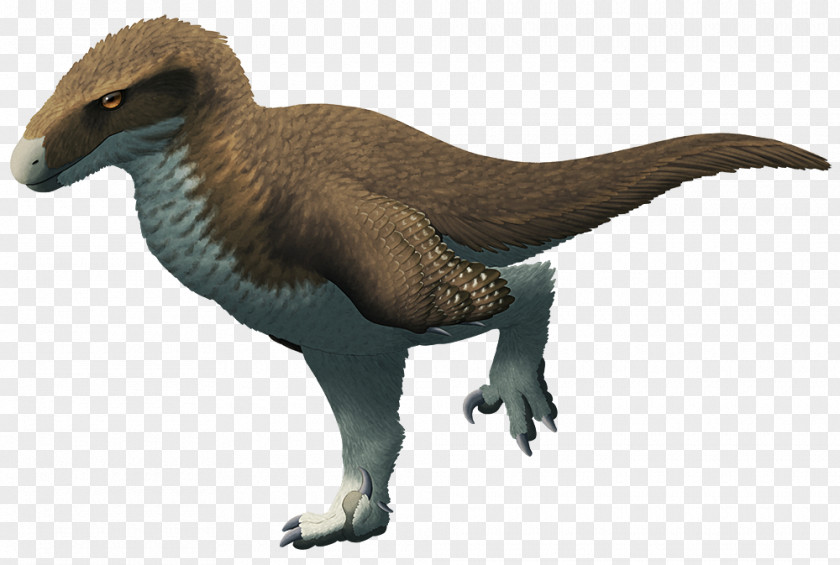 Utahraptor Streamer Velociraptor Proceratosaurus Cetiosaurus PNG